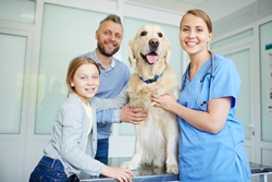 pet hospital CPA