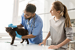 veterinary accounting services
