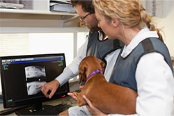 acquistion due diligence